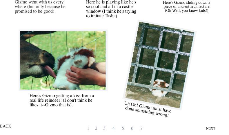 Gizmo7